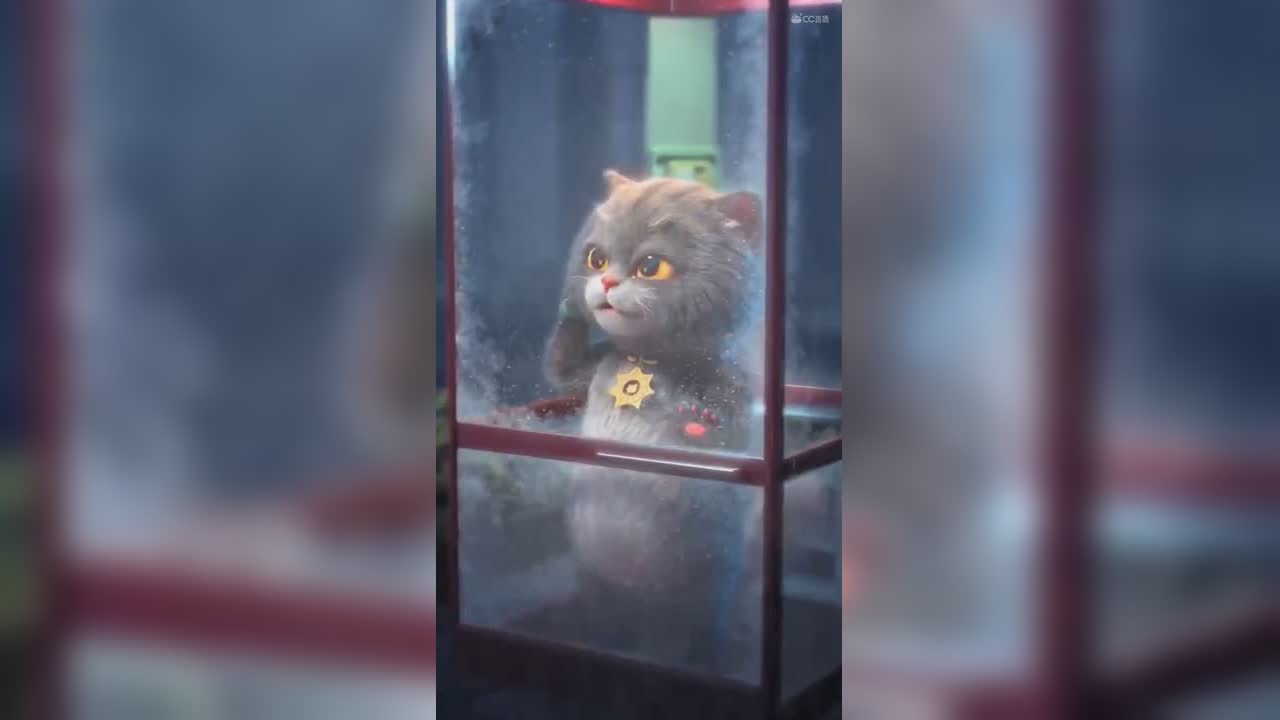 视频封面