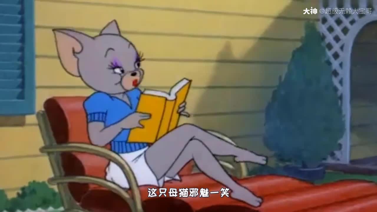 猫和老鼠手游明天共研服