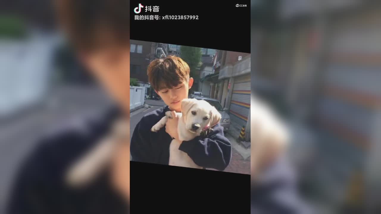 视频封面