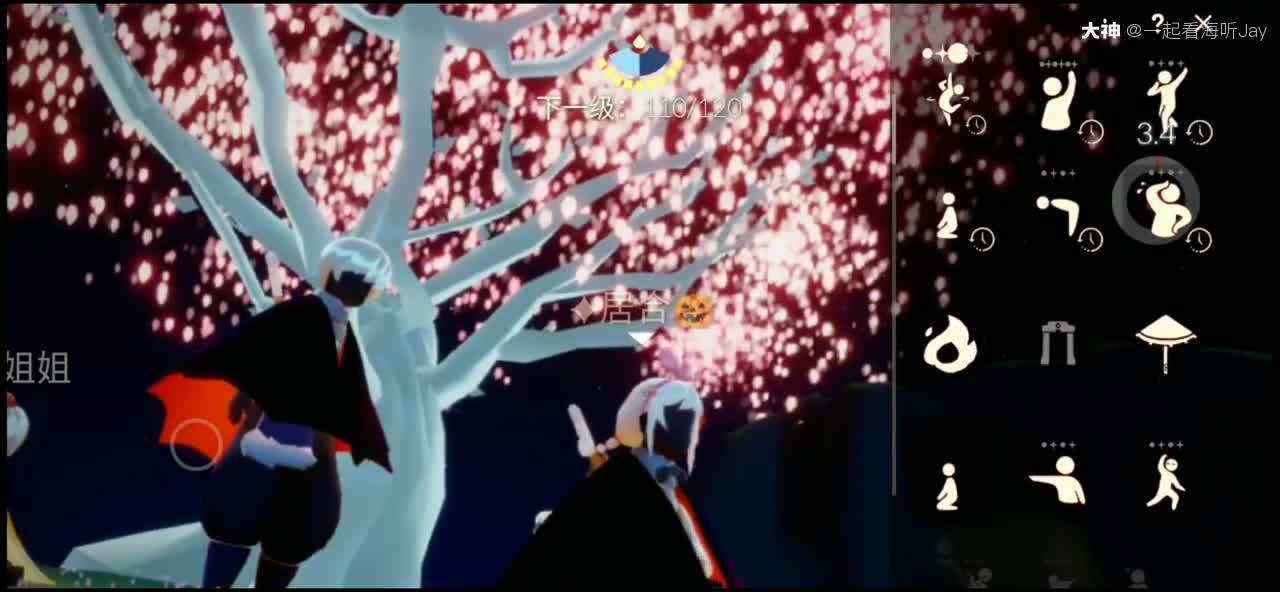 光遇交友樱花树在的