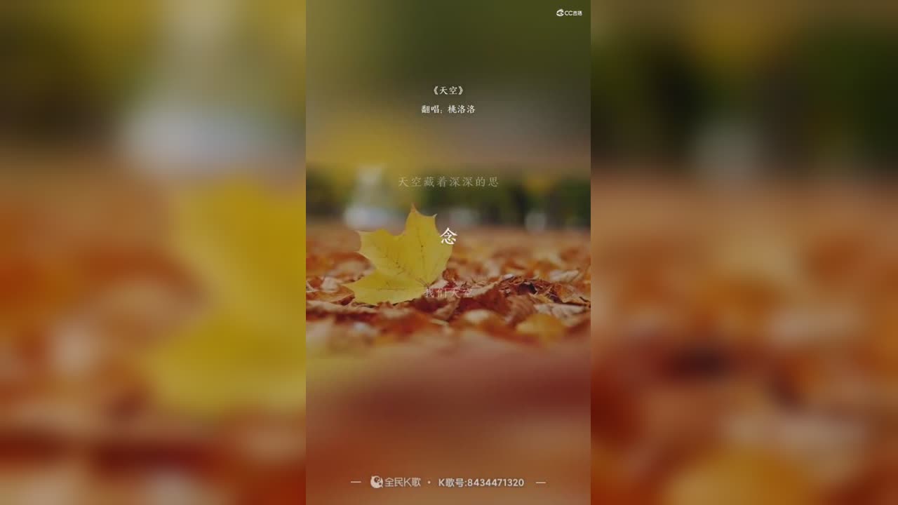 视频封面