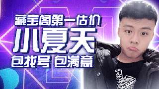 细节估价找号，帮推藏宝阁账号，包满意！