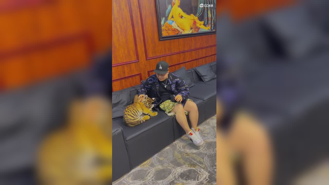 视频封面