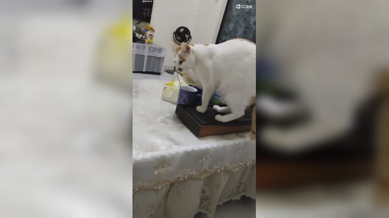 视频封面
