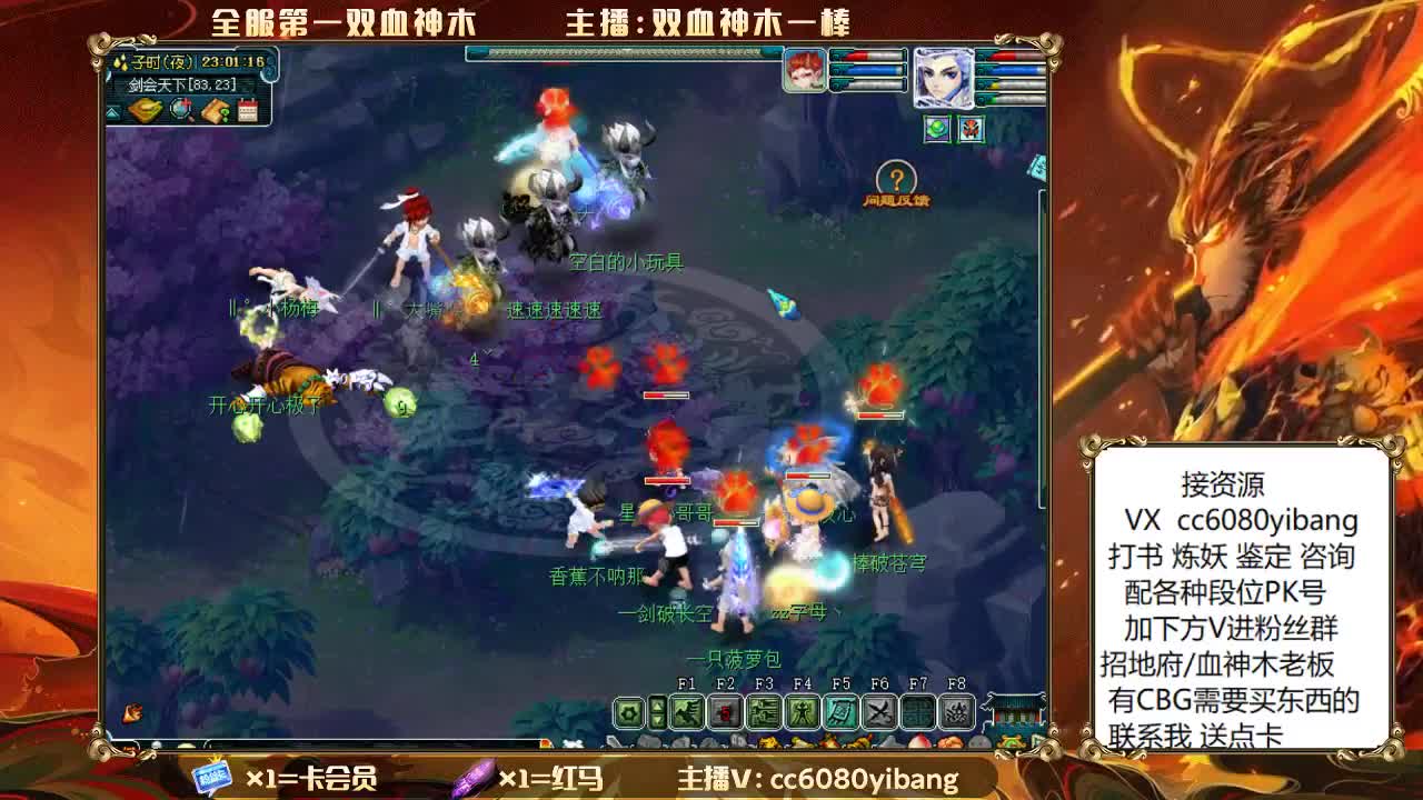 双血神木 剑会复盘！！ 第9段