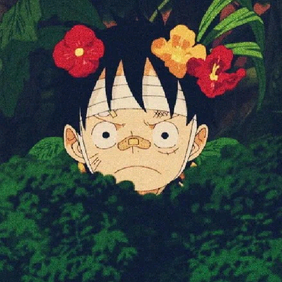 用户头像