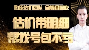 第一团队明细估价 帮找号包不亏