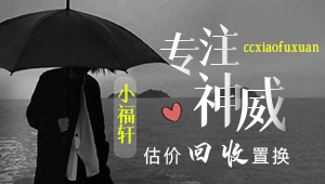收神威极品装备宝宝