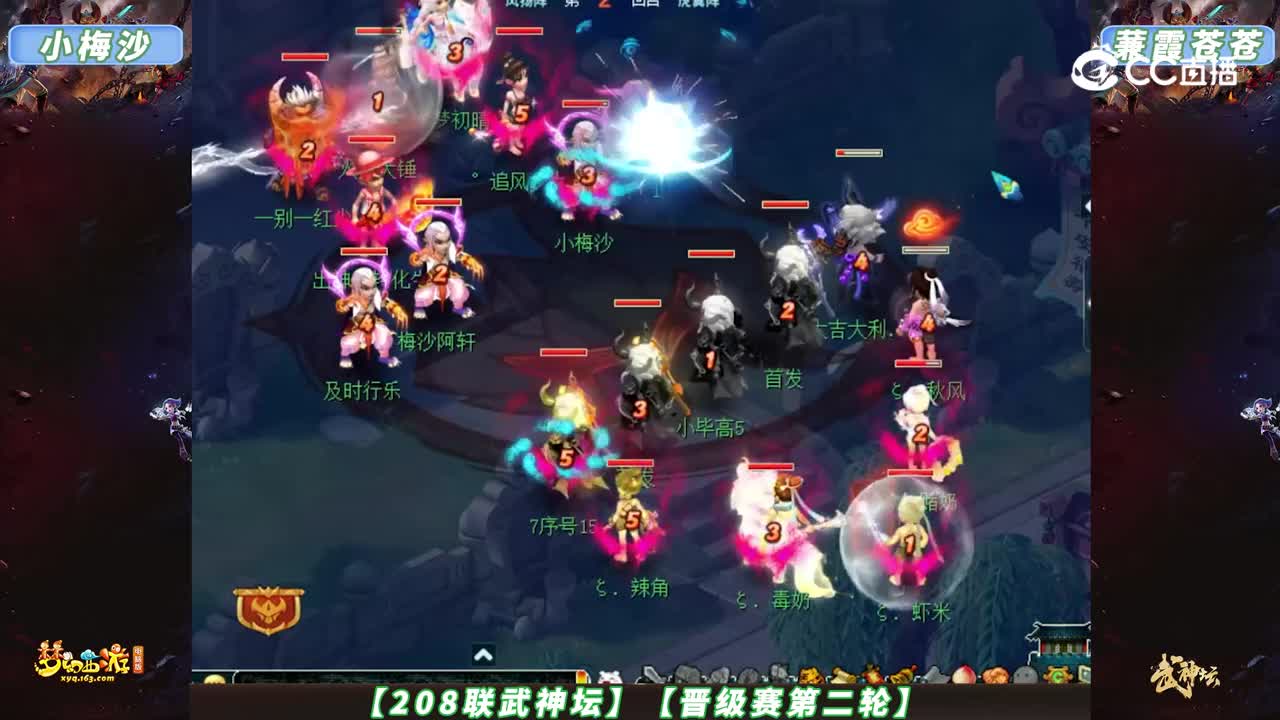【208联武神坛】【晋级赛第二轮】蒹霞苍苍 VS 小梅沙【CC情报站】