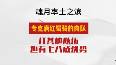 魂月：专克满红蜀骑的肉队，打其他队伍也有七八成优势（在队伍强度相等的情况下）