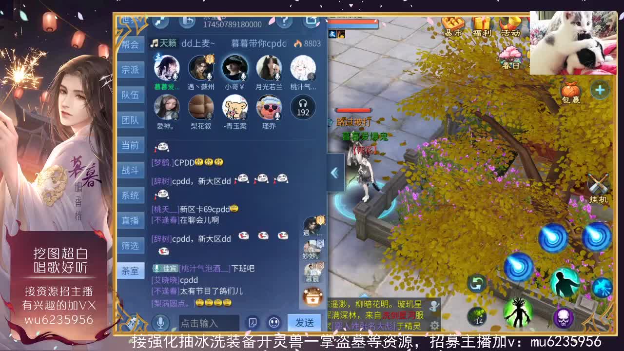 视频封面