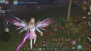 CC时装全平台秒发