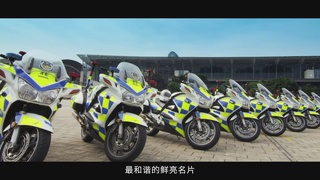 交警支队交通警保卫大队：铁血担当铸忠诚