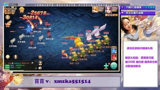 大苜苜求关注