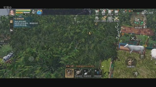CC时装特价秒到加V