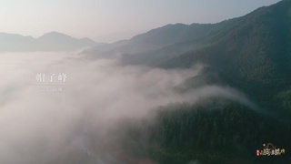 广东不只美食，还有诗和远方