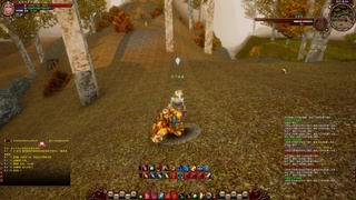 20年前的经典版本天下贰终于可以玩了 第7段