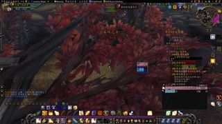 【时光服冲级】给无声主播一个关注