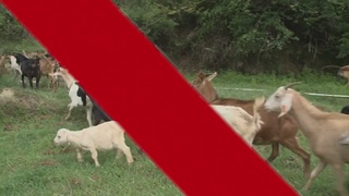 铁路安全宣传片