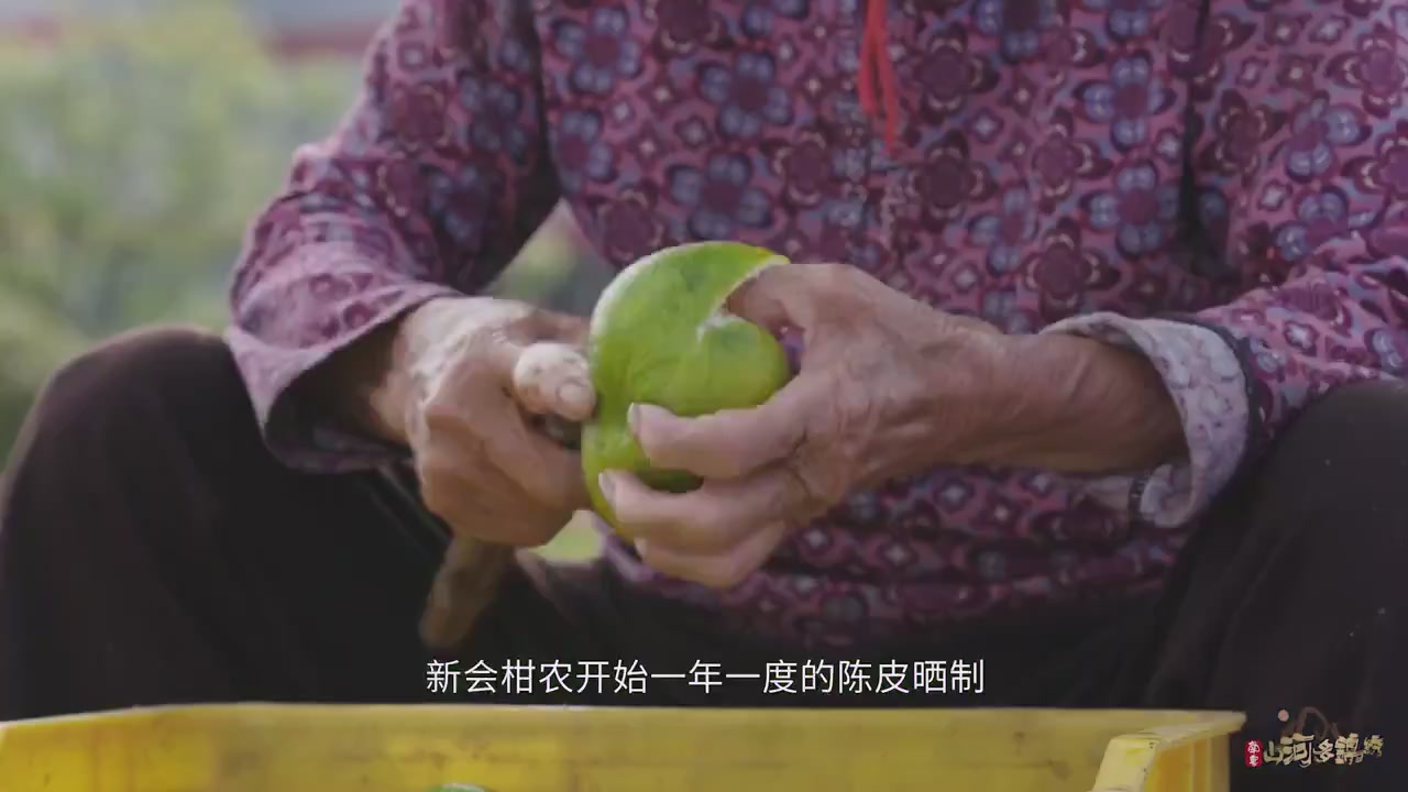 网络直播播前规范