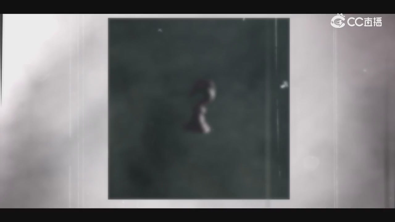 决战！平安京轮播