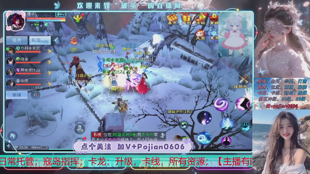 【星阁】阿雨招主播