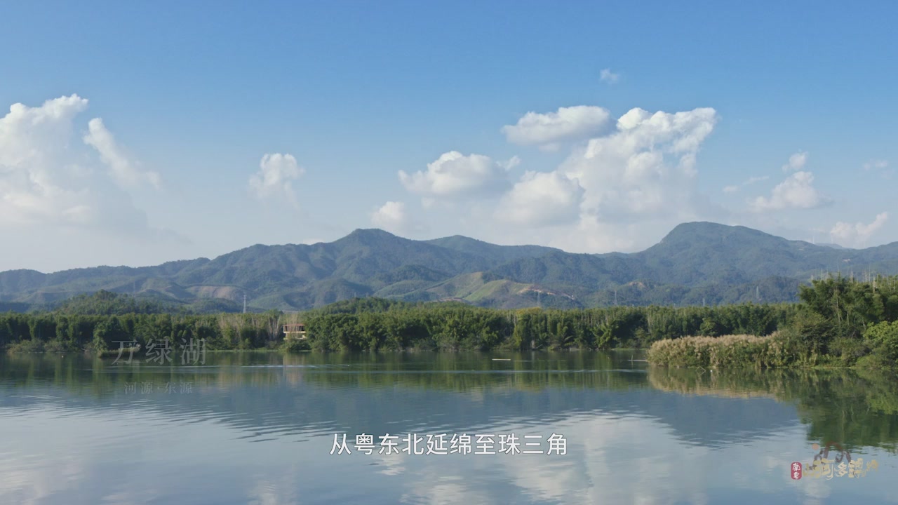 网络直播播前规范