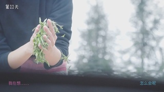 反诈骗就是这么简单