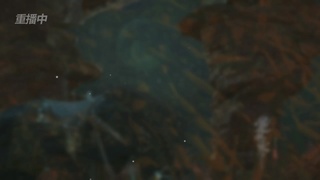 《逆水寒》手游 2026大宋春节晚会