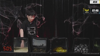 《蛋仔派对》全国总决赛