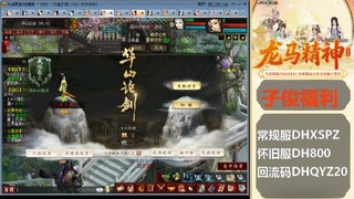 新服<龙马精神>新手码：DHXSPZ