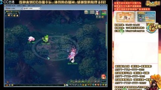 陕西区大雁塔从0起艰难的飞升之路