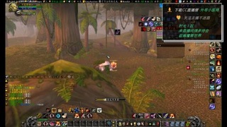 带你逛逛，魔兽世界