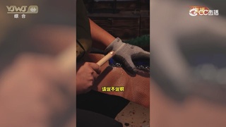 2026永劫无间新春会——武道新途全片回顾