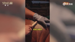 2026永劫无间新春会——武道新途全片回顾