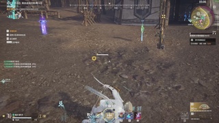 卿梦安心的直播间