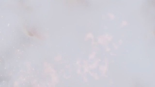 梦幻西游动画片第四季第12集