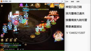 接九转蜃境托管~