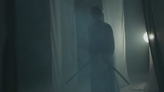 正义之警，威武之师