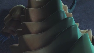 梦幻西游动画片第二季第8集