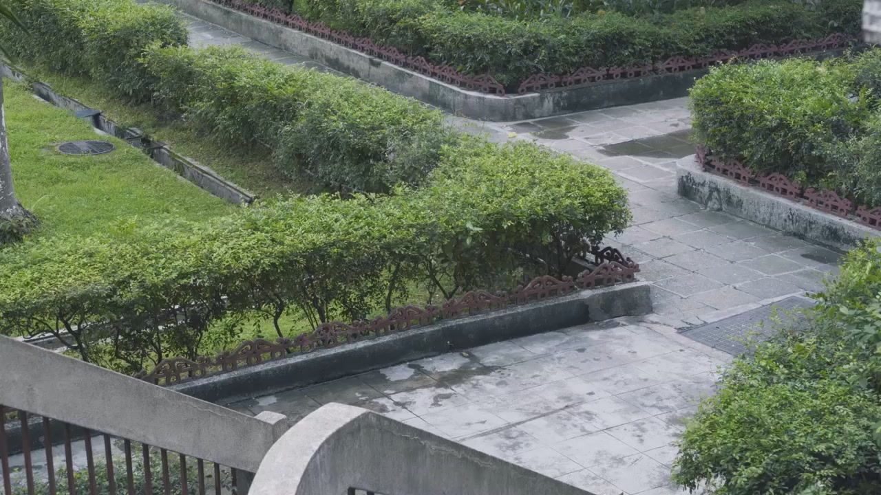 网络直播播前规范