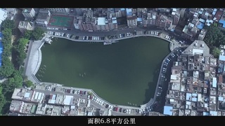 李振声：“铁脚板”是如何炼成的