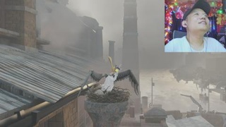 泽泽游戏
