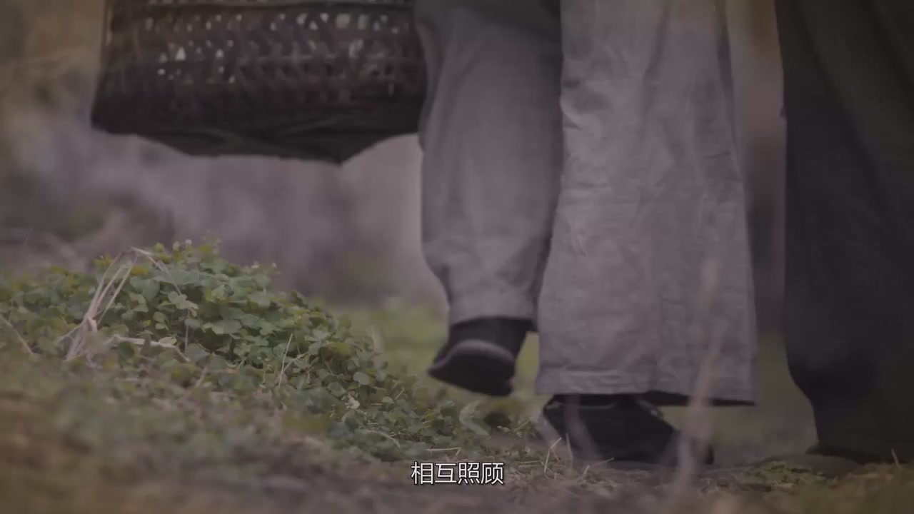 网络直播播前规范