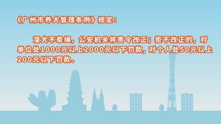 广州公安创文动画