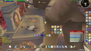 魔兽世界