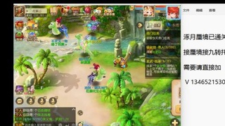 接九转蜃境托管~