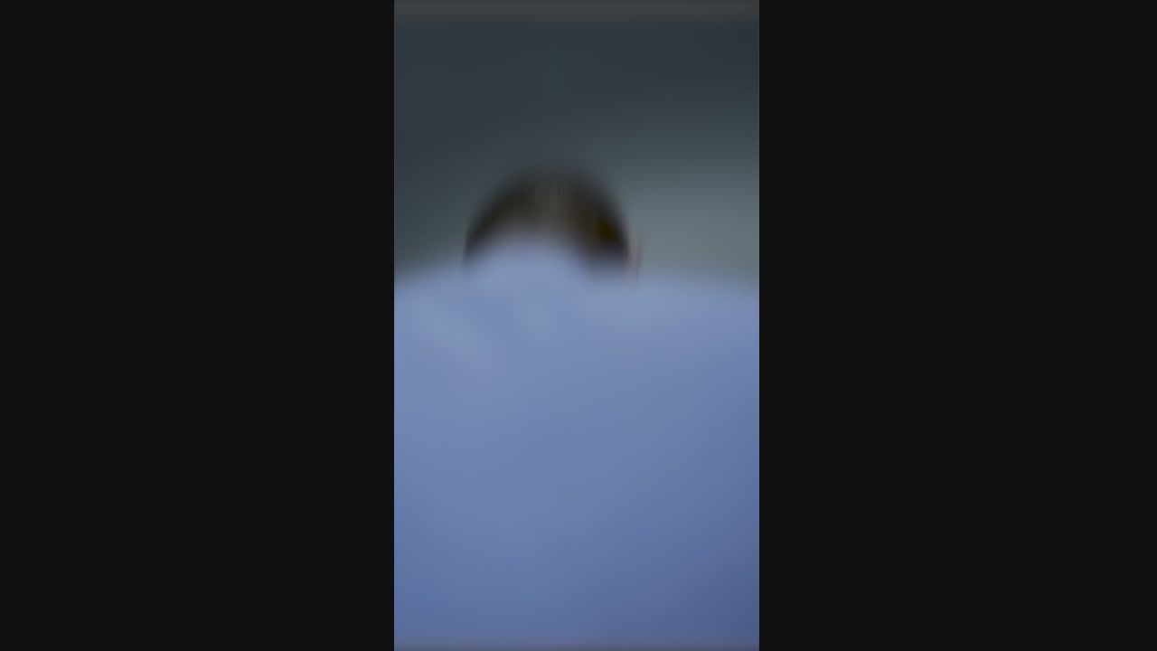 网络直播播前规范