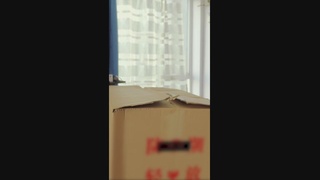超能力警官