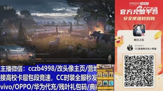 永久cc秒发，改头像主页，加v